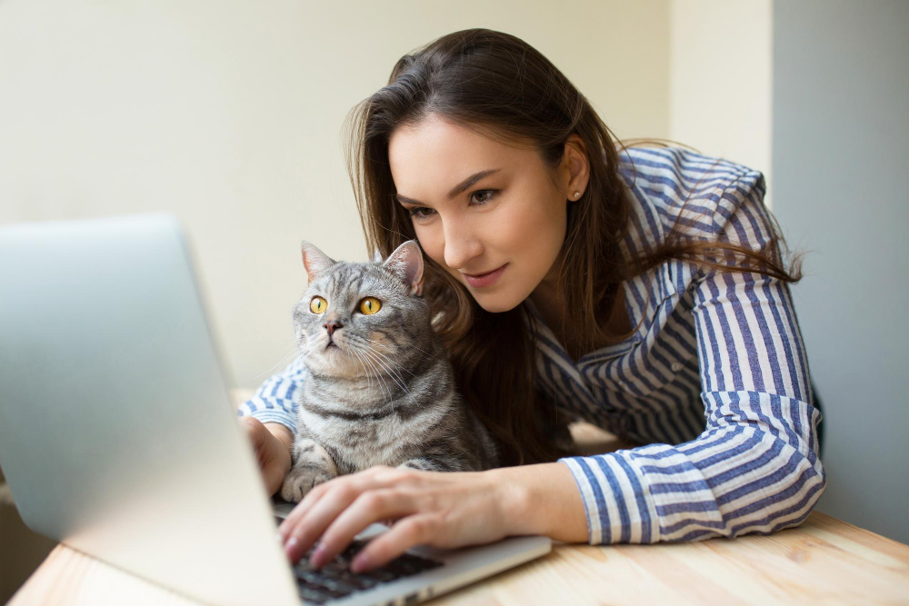 Cat and owner looking at the computer
